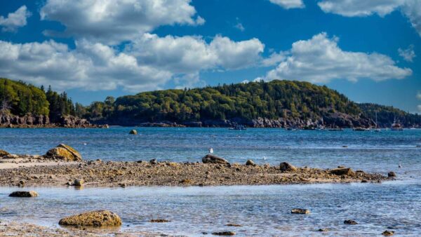 things to do in bar harbor maine