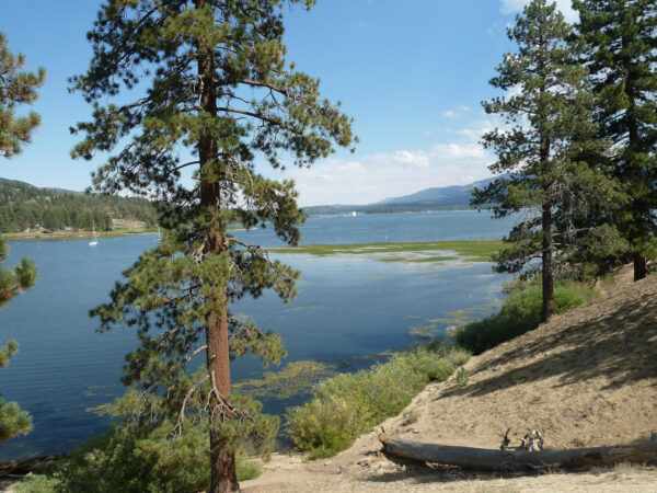 things to do in big bear lake