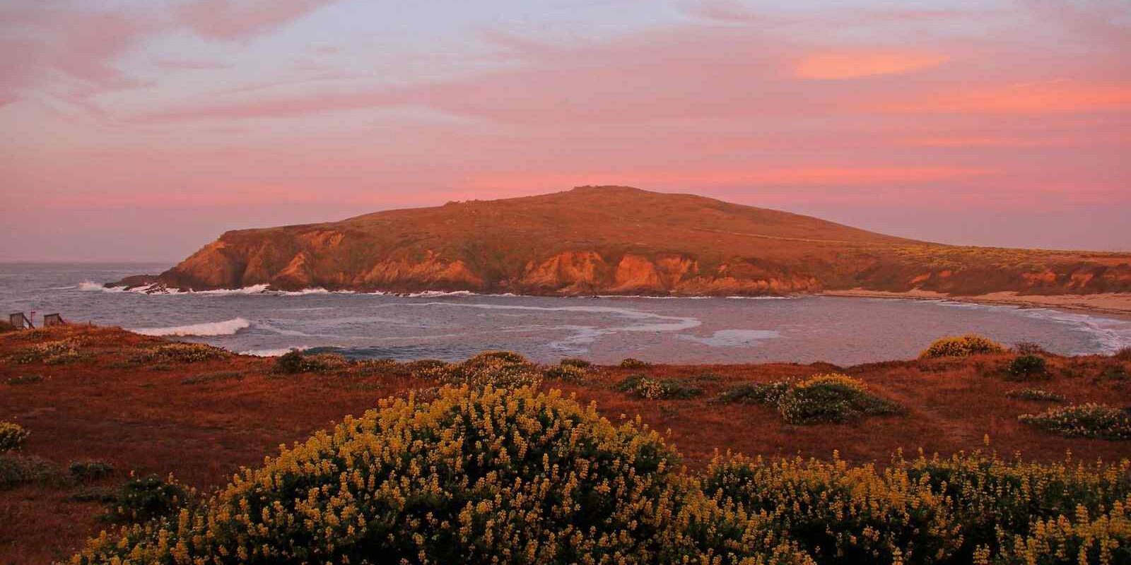 things to do in bodega bay