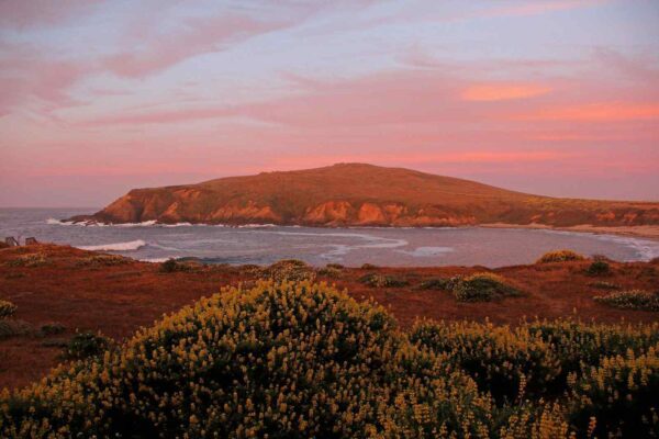 things to do in bodega bay