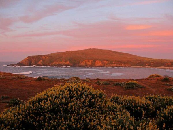 things to do in bodega bay