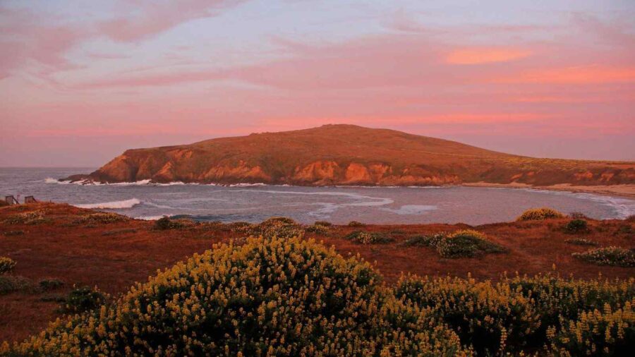 things to do in bodega bay