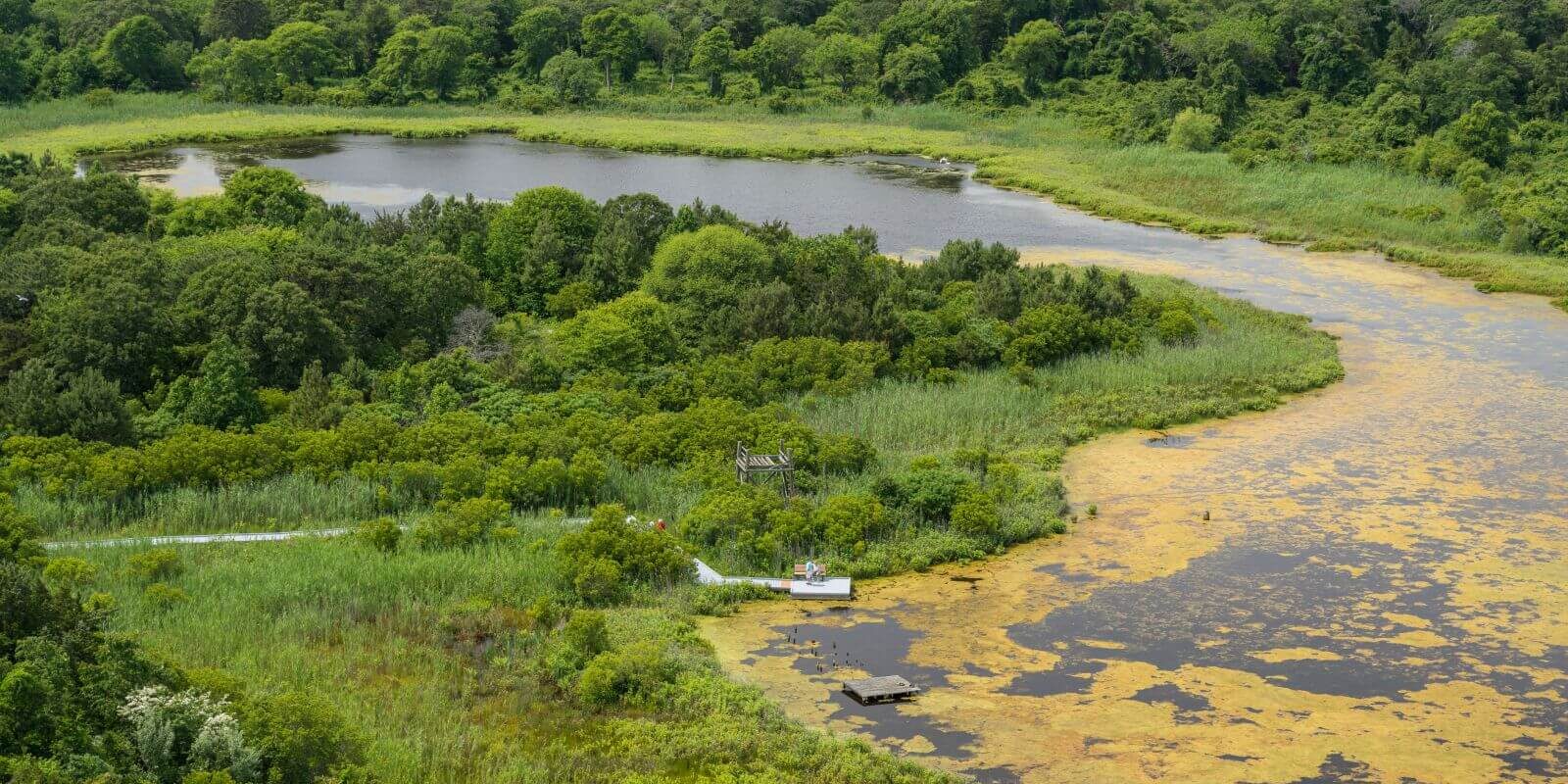 things to do in cape may