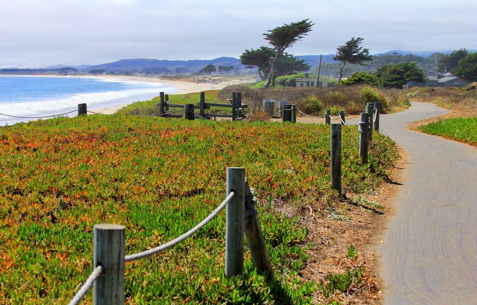 things to do in half moon bay