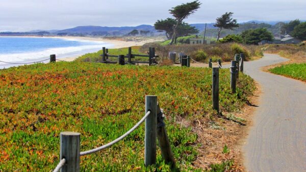 things to do in half moon bay