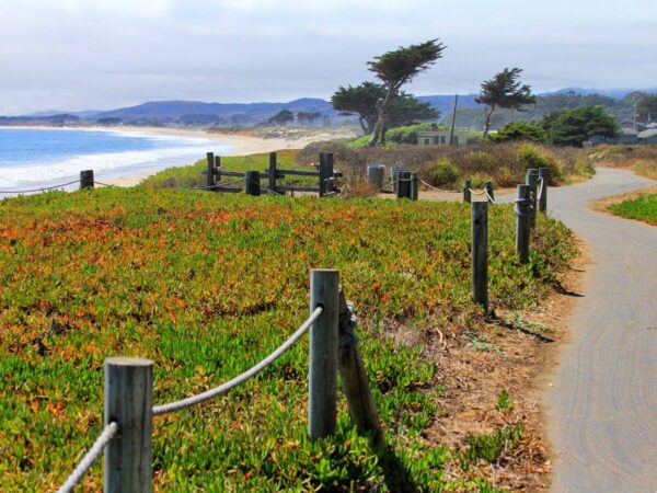 things to do in half moon bay