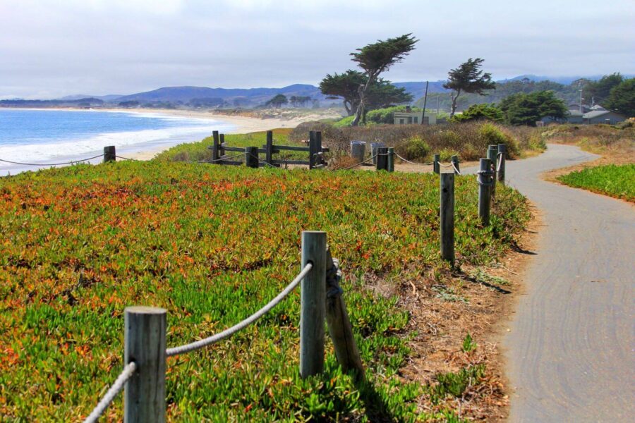 things to do in half moon bay