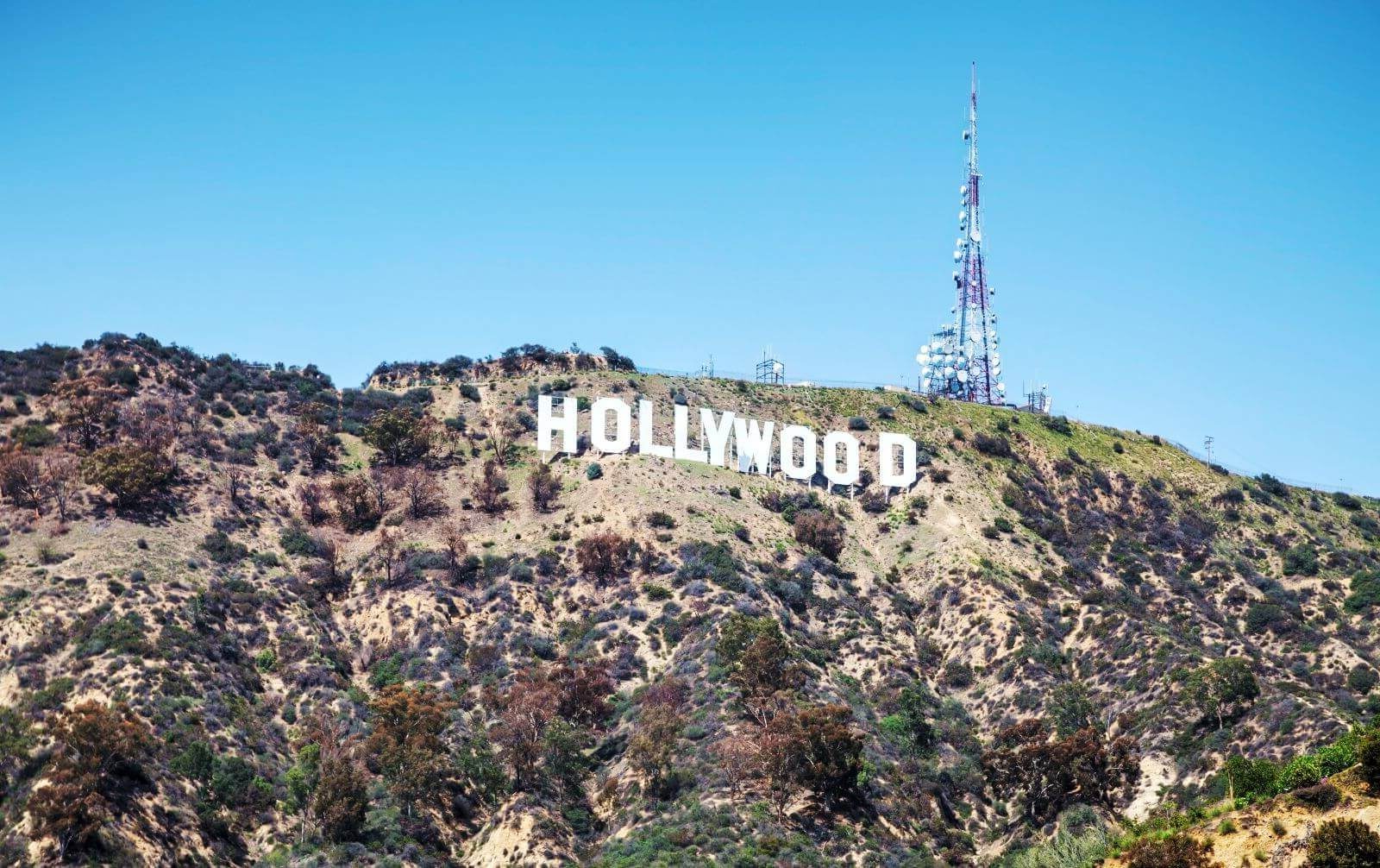things to do in hollywood