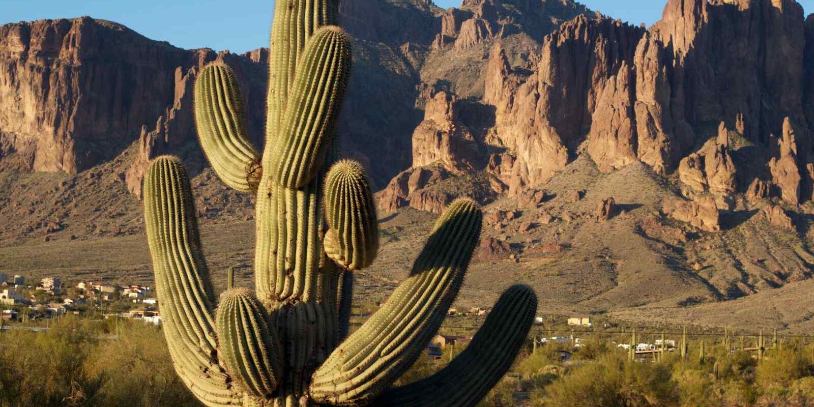 things to do in las cruces