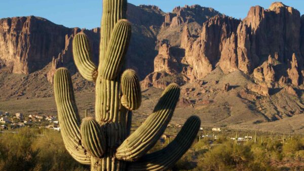 things to do in las cruces