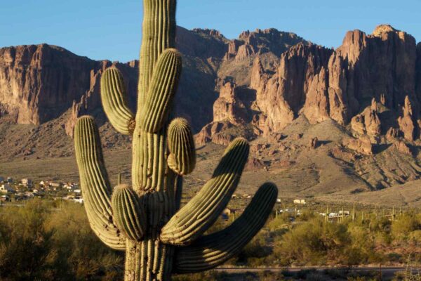 things to do in las cruces