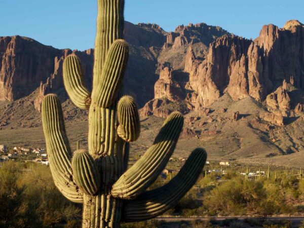 things to do in las cruces