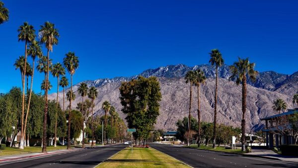 things to do in palm desert