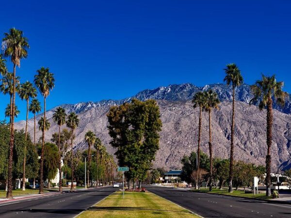 things to do in palm desert