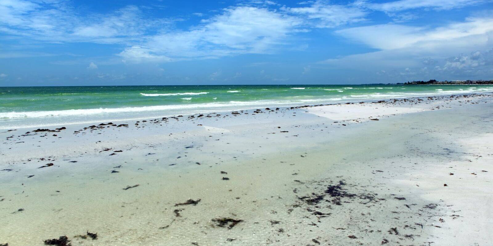 things to do in siesta key