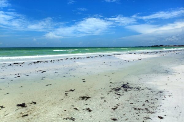 things to do in siesta key