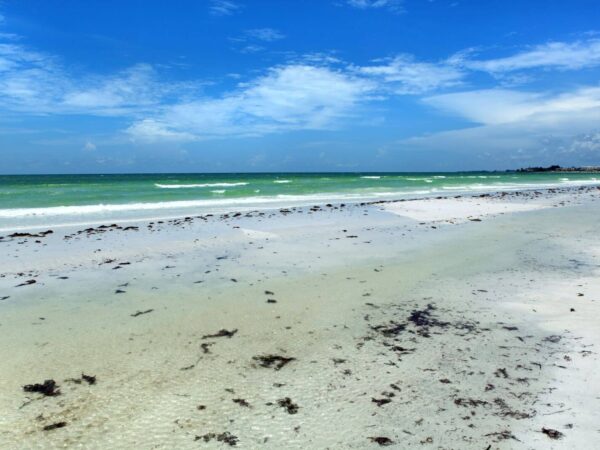 things to do in siesta key