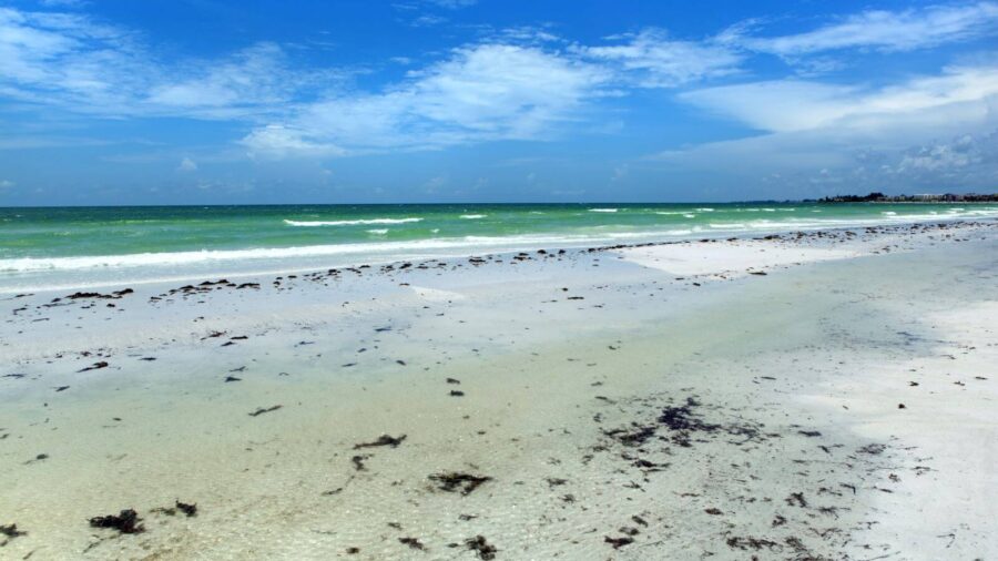 things to do in siesta key