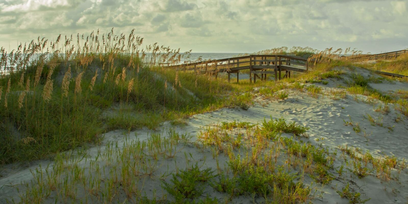 things to o in tybee island