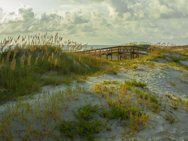 things to o in tybee island