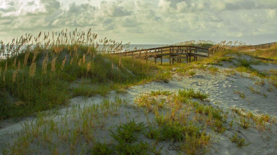 things to o in tybee island