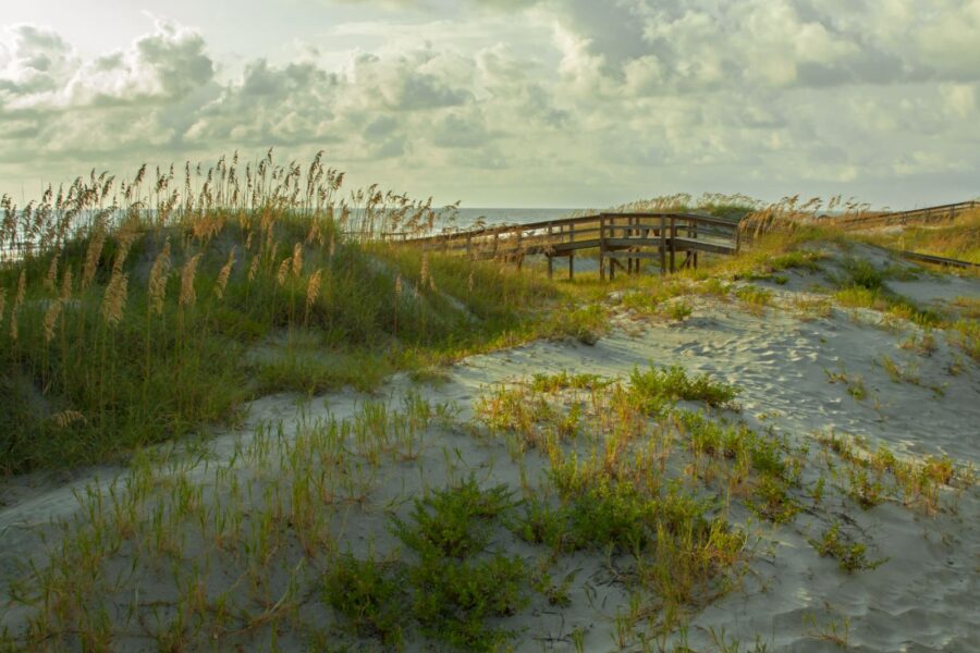 things to o in tybee island