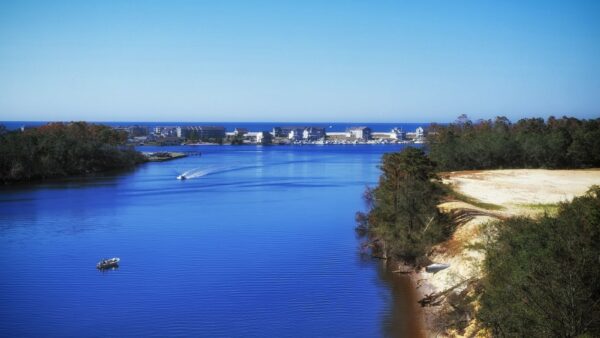 things to do in wilmington nc