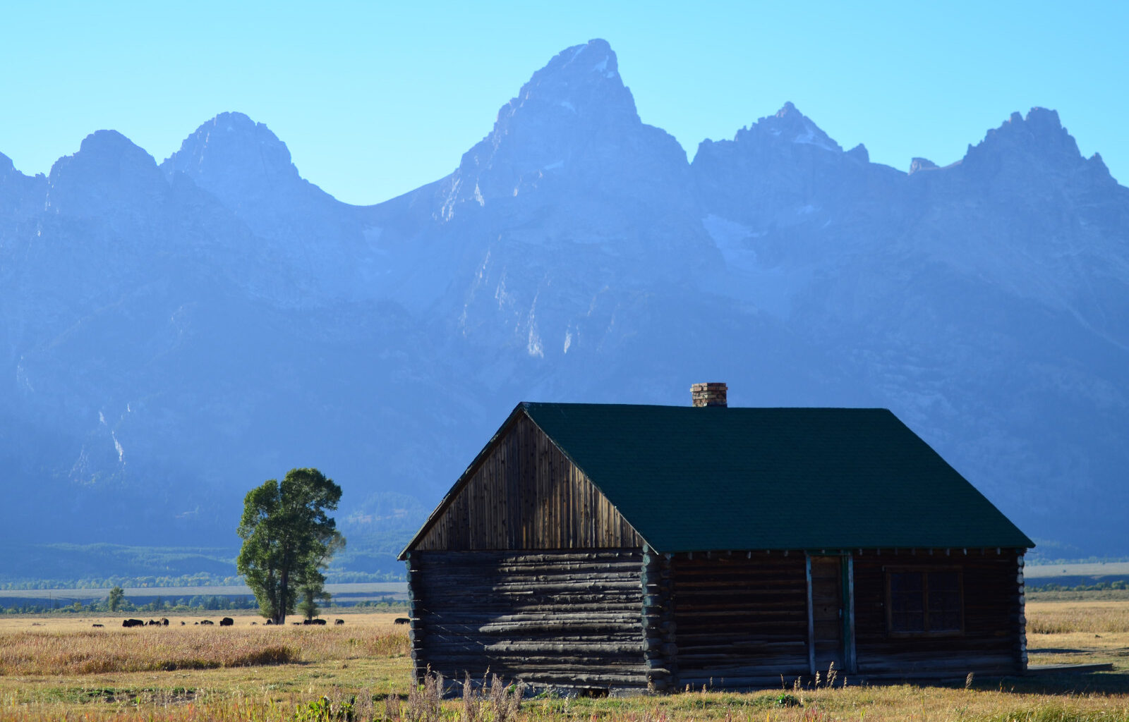 things to do in wyoming