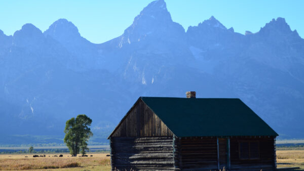 things to do in wyoming