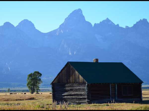 things to do in wyoming