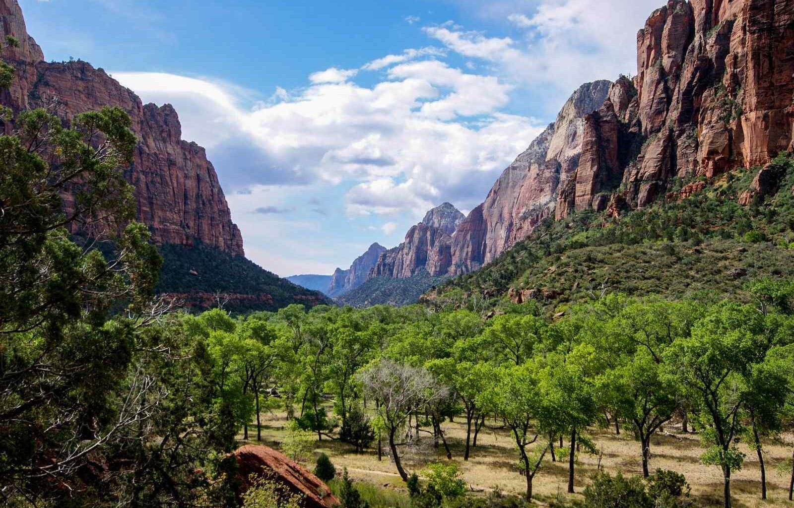 Things to Do in Zion National Park,