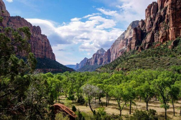 Things to Do in Zion National Park,