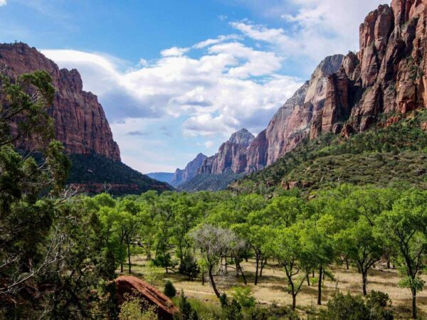 Things to Do in Zion National Park,