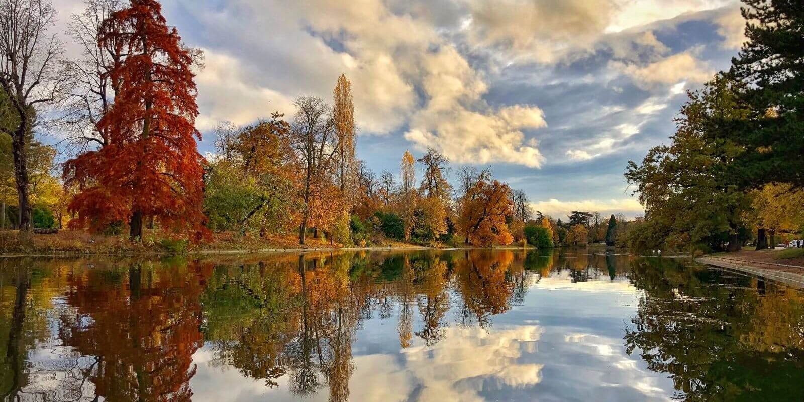 bois de boulogne