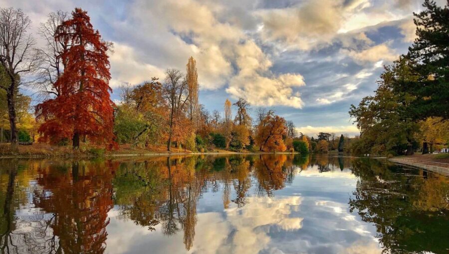 bois de boulogne