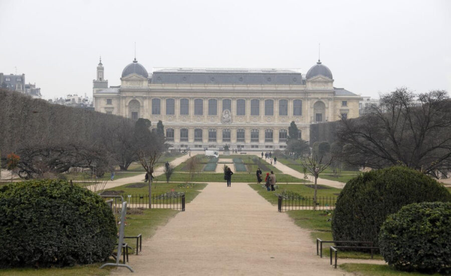 Jardin des Plantes