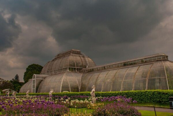 kew gardens