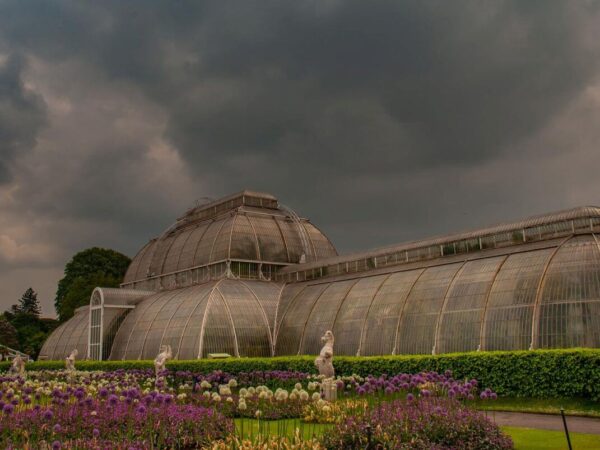 kew gardens