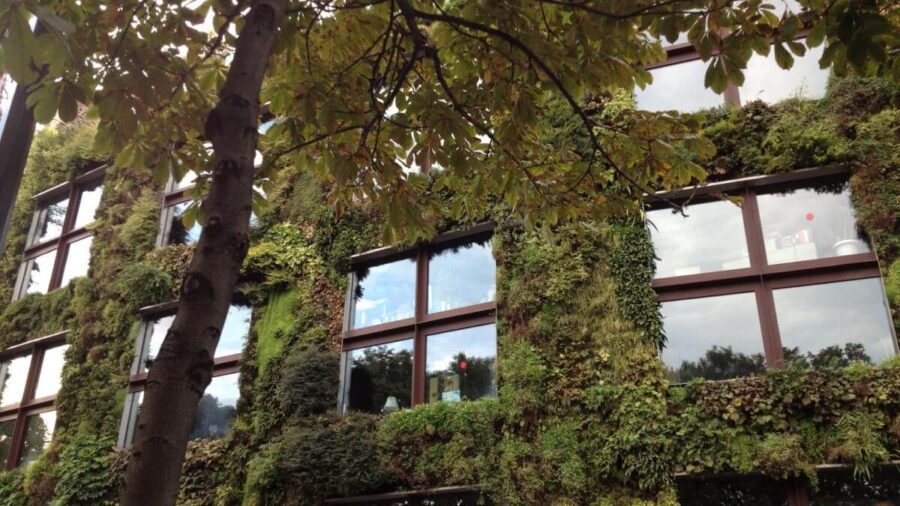 Musée du Quai Branly