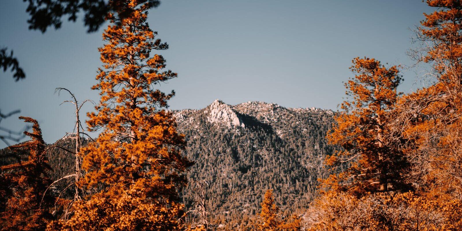 things to do in idyllwild