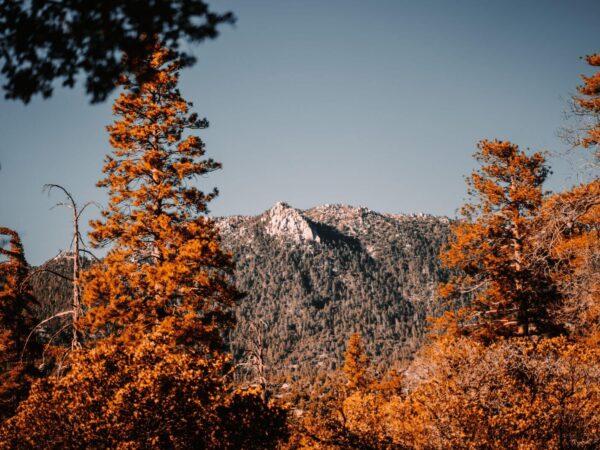 things to do in idyllwild