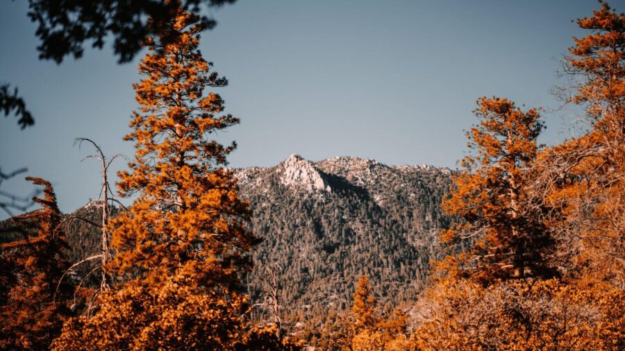 things to do in idyllwild