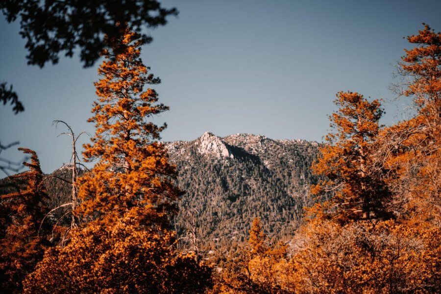 things to do in idyllwild