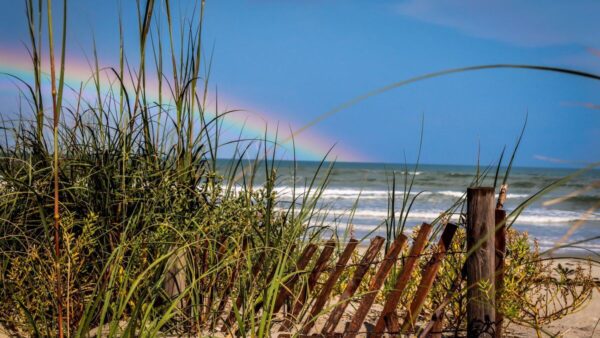 things to do in new smyrna beach