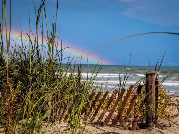 things to do in new smyrna beach