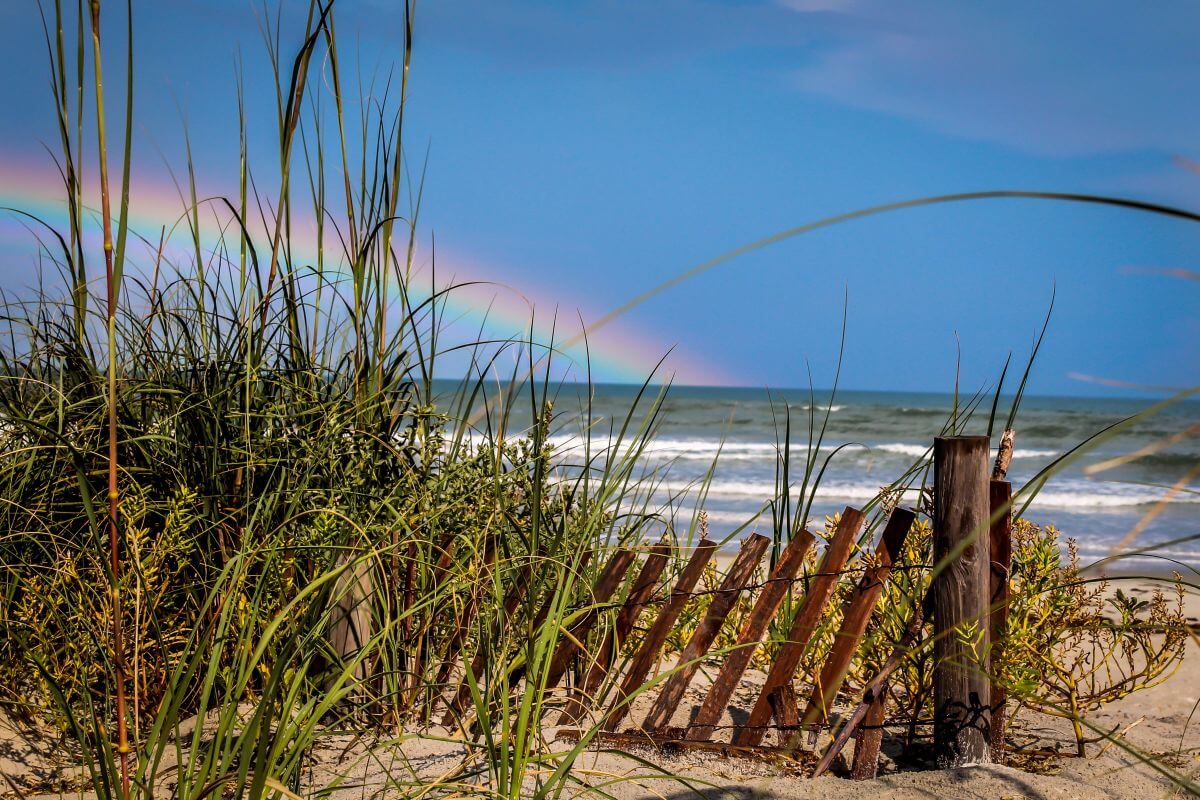 things to do in new smyrna beach